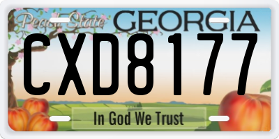GA license plate CXD8177