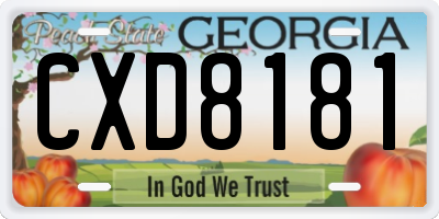 GA license plate CXD8181