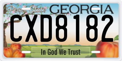 GA license plate CXD8182