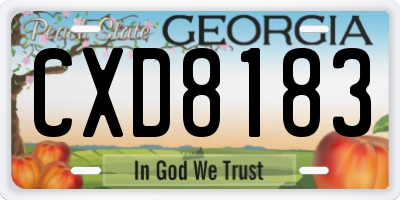GA license plate CXD8183