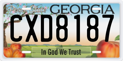 GA license plate CXD8187