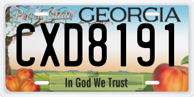 GA license plate CXD8191