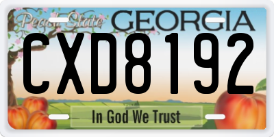 GA license plate CXD8192