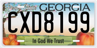 GA license plate CXD8199