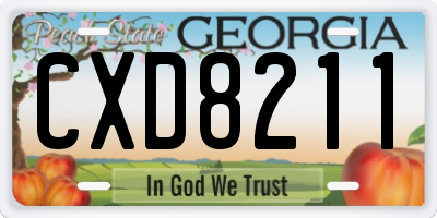 GA license plate CXD8211