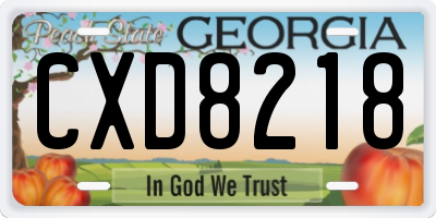 GA license plate CXD8218