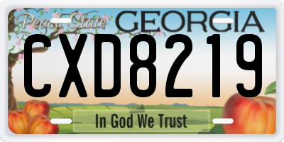 GA license plate CXD8219