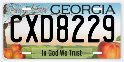 GA license plate CXD8229