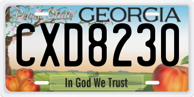 GA license plate CXD8230