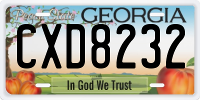 GA license plate CXD8232