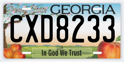 GA license plate CXD8233