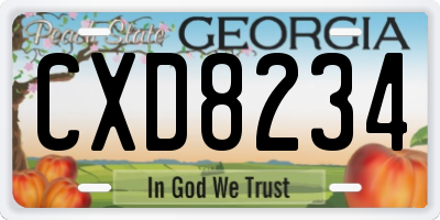 GA license plate CXD8234