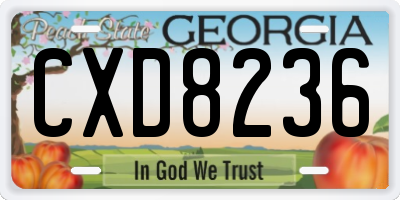 GA license plate CXD8236