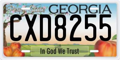 GA license plate CXD8255