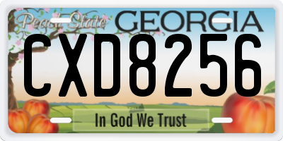 GA license plate CXD8256