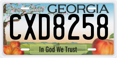 GA license plate CXD8258
