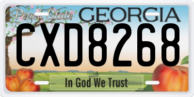 GA license plate CXD8268