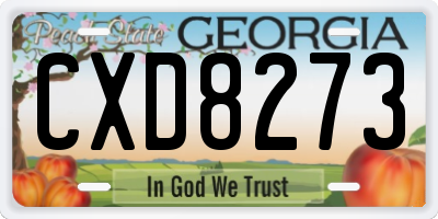 GA license plate CXD8273