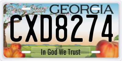 GA license plate CXD8274
