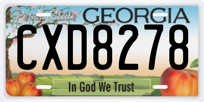 GA license plate CXD8278