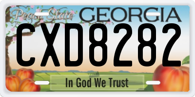 GA license plate CXD8282