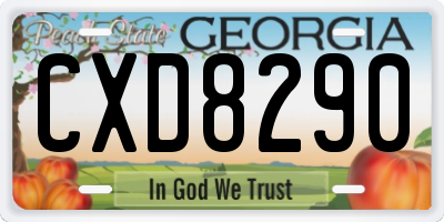 GA license plate CXD8290