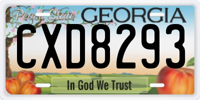 GA license plate CXD8293