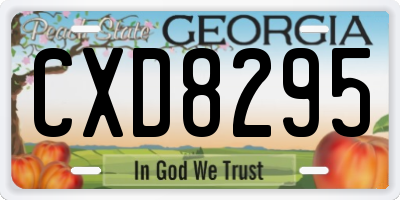 GA license plate CXD8295