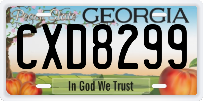 GA license plate CXD8299