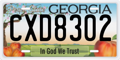 GA license plate CXD8302