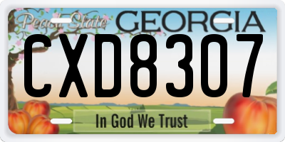 GA license plate CXD8307