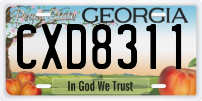 GA license plate CXD8311