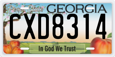 GA license plate CXD8314