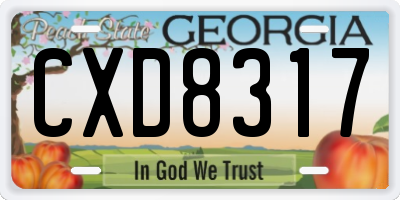 GA license plate CXD8317