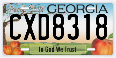 GA license plate CXD8318