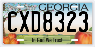 GA license plate CXD8323