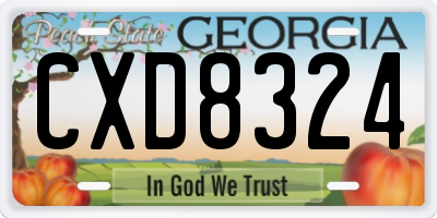 GA license plate CXD8324
