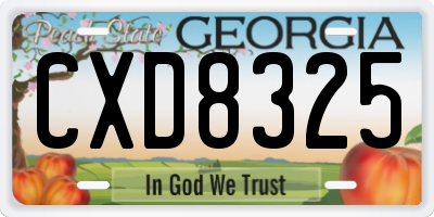 GA license plate CXD8325