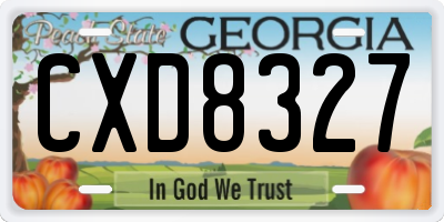 GA license plate CXD8327
