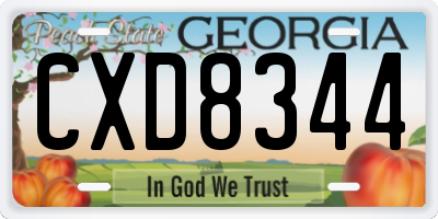 GA license plate CXD8344