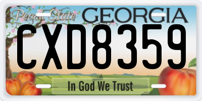 GA license plate CXD8359