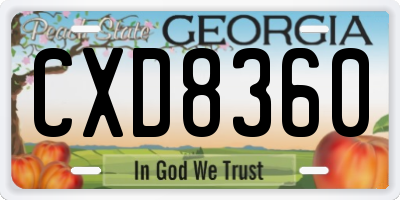 GA license plate CXD8360