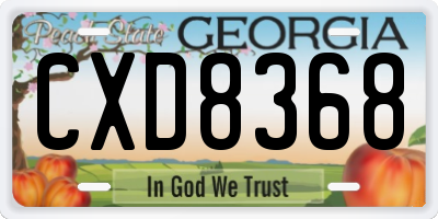 GA license plate CXD8368