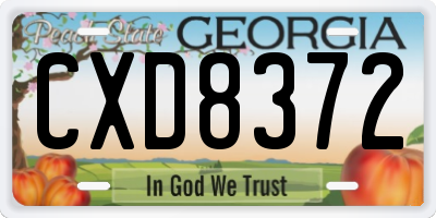 GA license plate CXD8372