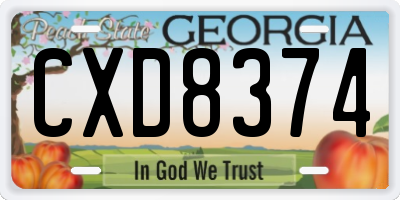 GA license plate CXD8374