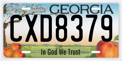 GA license plate CXD8379
