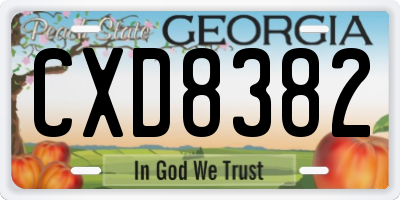 GA license plate CXD8382