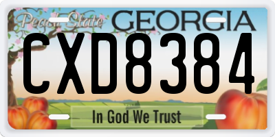 GA license plate CXD8384