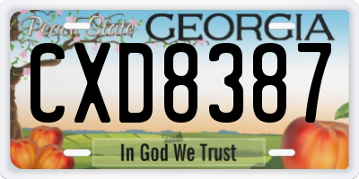 GA license plate CXD8387