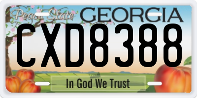 GA license plate CXD8388
